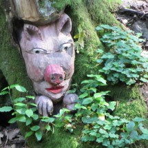 Wooden pig face in the tree